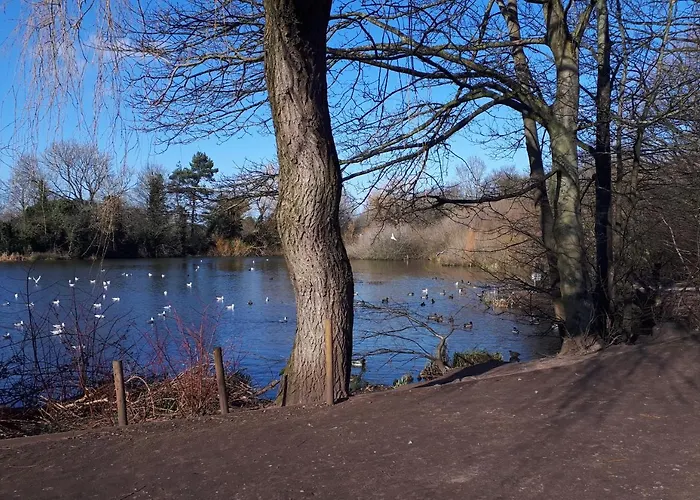 Village 3-Bed House Netflix In Chester